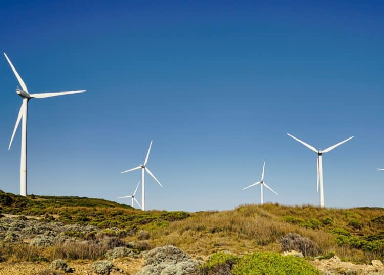 Federal backing for 20 solar and wind projects