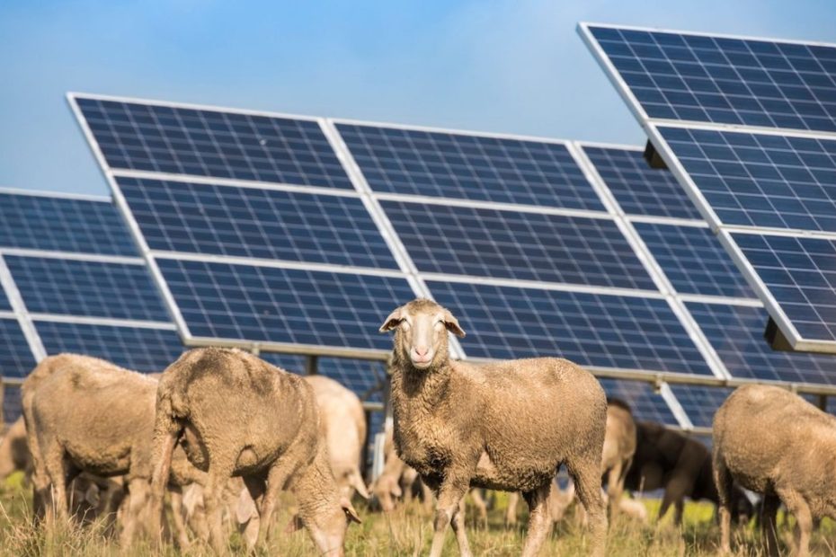 Texas solar and battery hybrid project seeks green tick for the border of NSW and Queensland