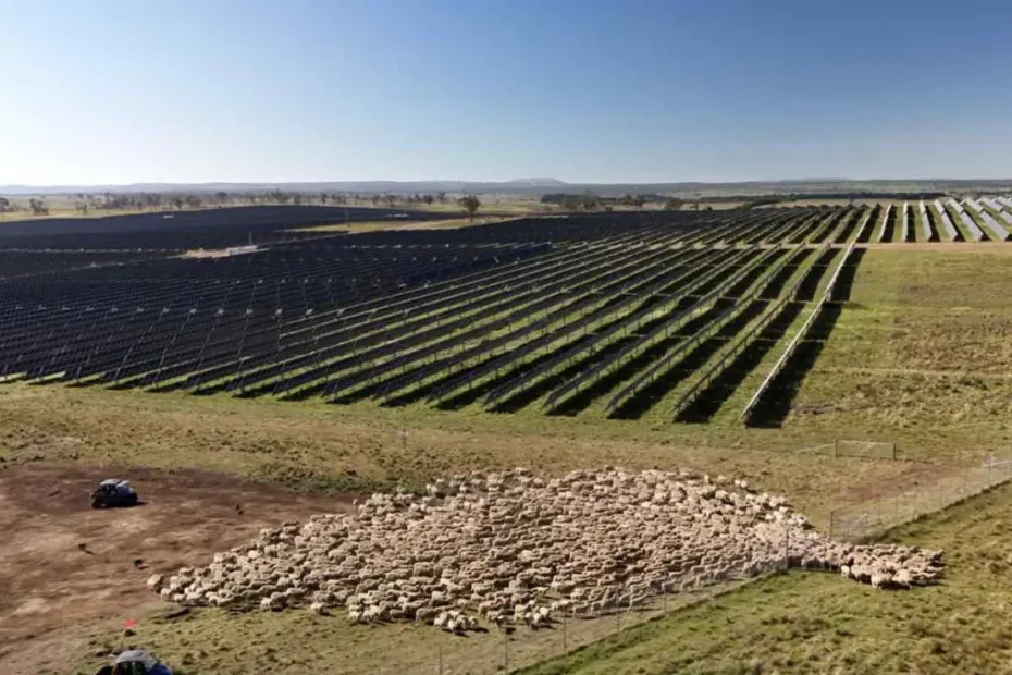 Falling prices clip profits at two of Australia’s biggest solar farms