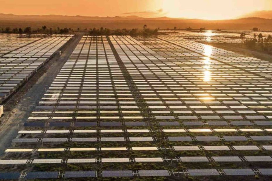 Construction firm locked in to deliver two big solar and battery projects in the Sunshine State