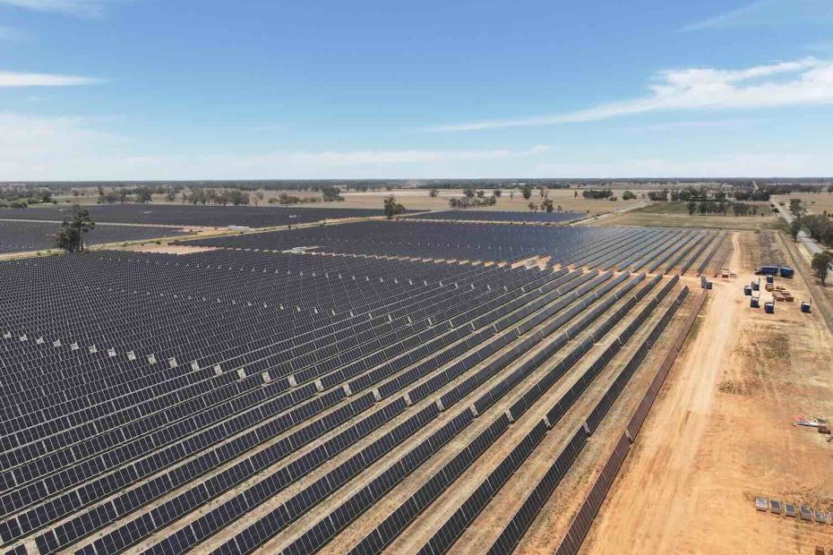 Danish renewables giant crowns royal visit with inauguration of Australian solar farm