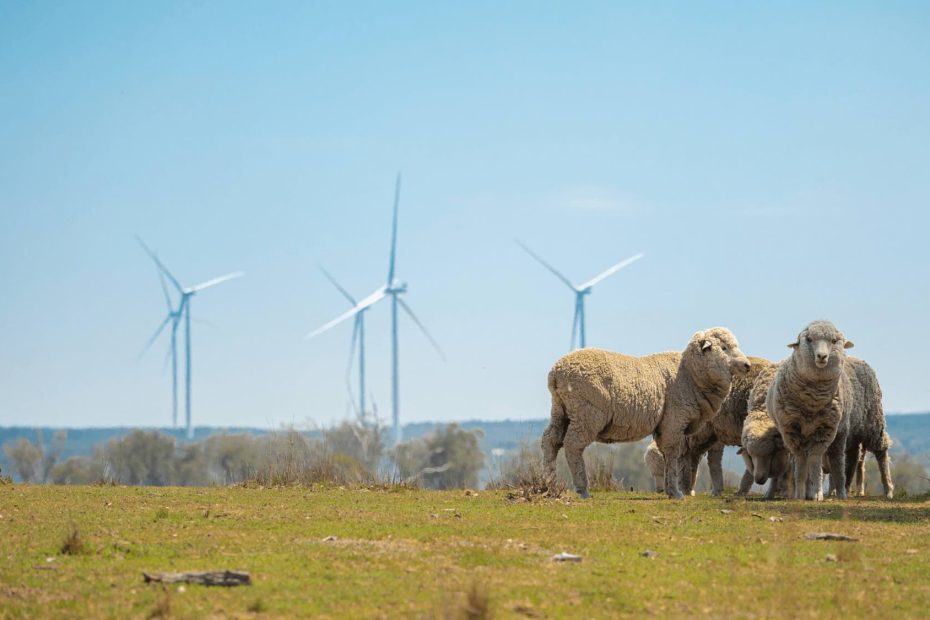 Solar, wind meet 99 pct of new global demand as batteries help deliver “round-the-clock resource”