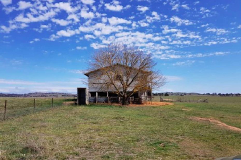 Contentious solar project scrapped after work fails to start on time