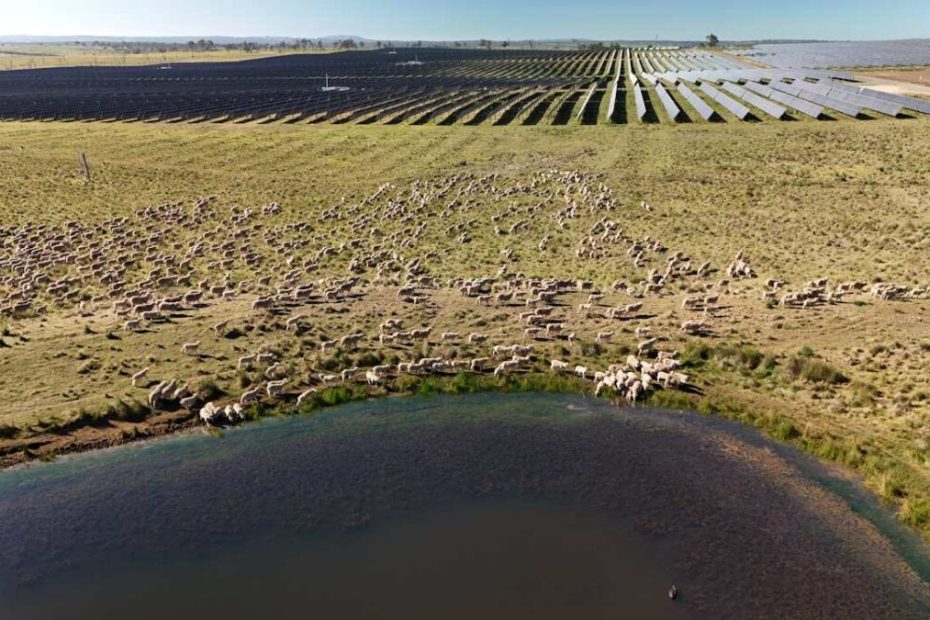 Australia’s biggest solar farm enjoys less curtailment, but lower prices, as big battery starts commissioning