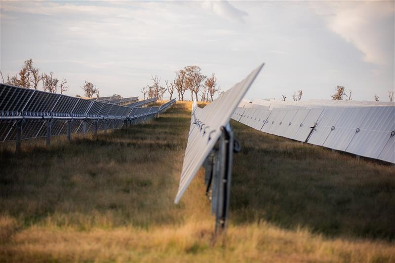 Solar farms can help to regenerate land while generating energy, new study finds