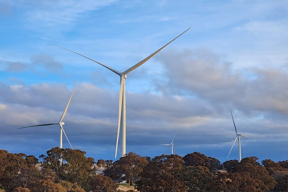 Australia’s largest coal state to launch biggest tender yet for power delivered when the sun don’t shine