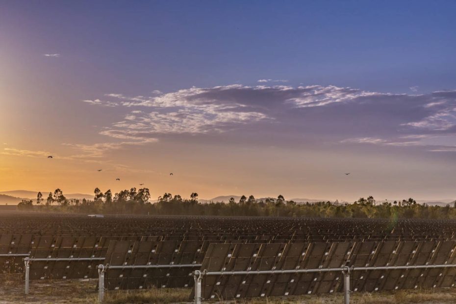 Australia’s largest solar project changes shape as owner brings forward big battery to beat solar duck