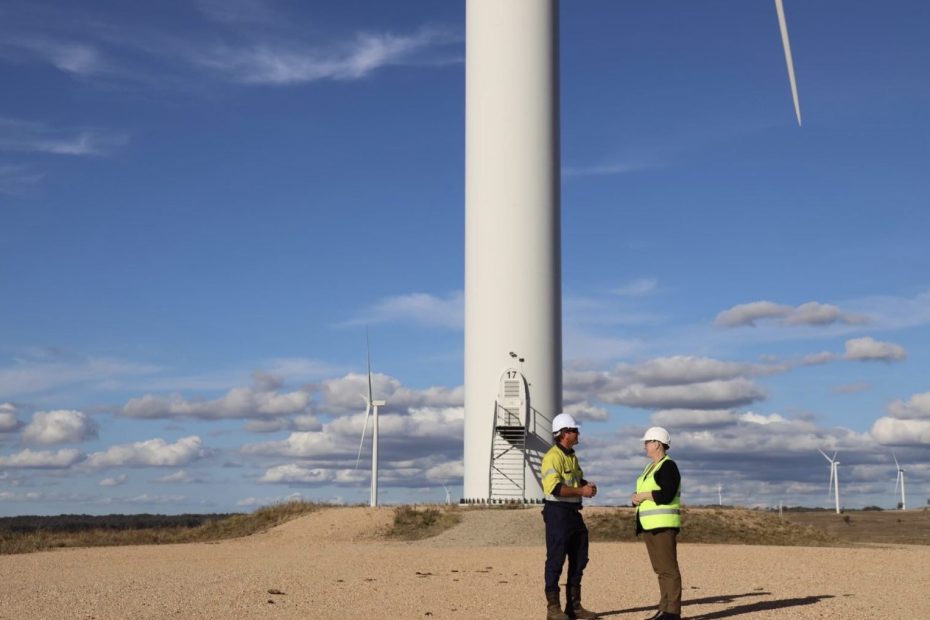 State launches its biggest ever renewable tender “to keep lights on” and push down prices