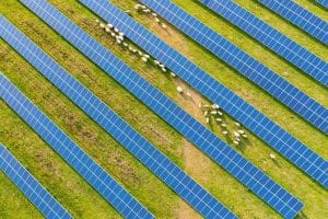 Anatomy of a renewable finance deal: Developer lands equity for state’s largest solar-battery hybrid