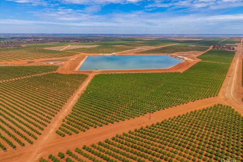 AGL to build one of Australia’s biggest non-mining microgrids, to power almond farm with 85 pct renewables