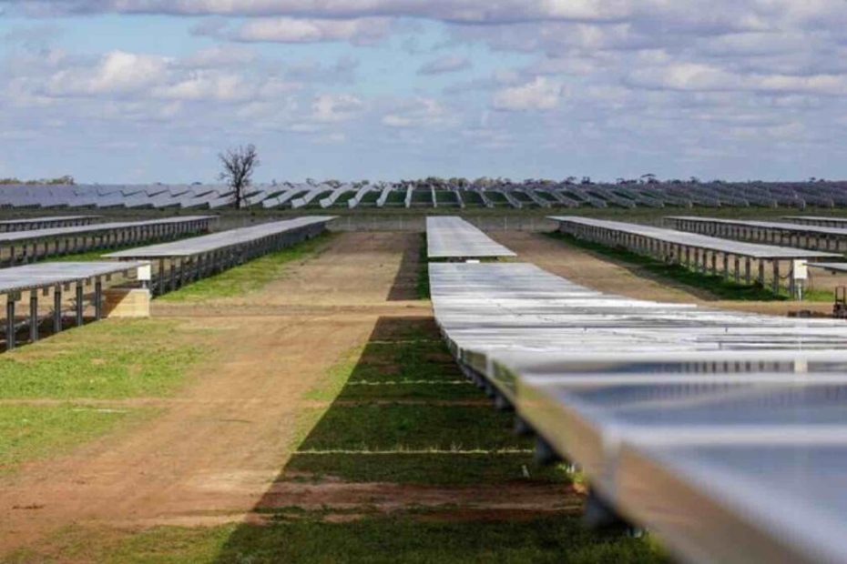 Sunshine state sets new solar record – in the middle of winter