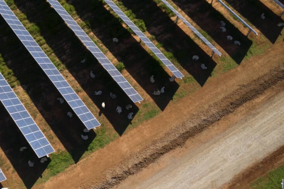 Construction ready, CIS-winning solar and battery hybrid project sold to Swedish developer