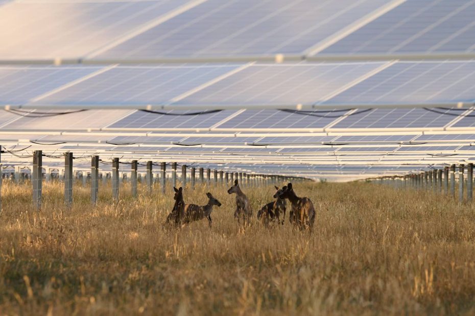 Construction starts on AC-coupled battery to “unlock full potential” of operating solar farm