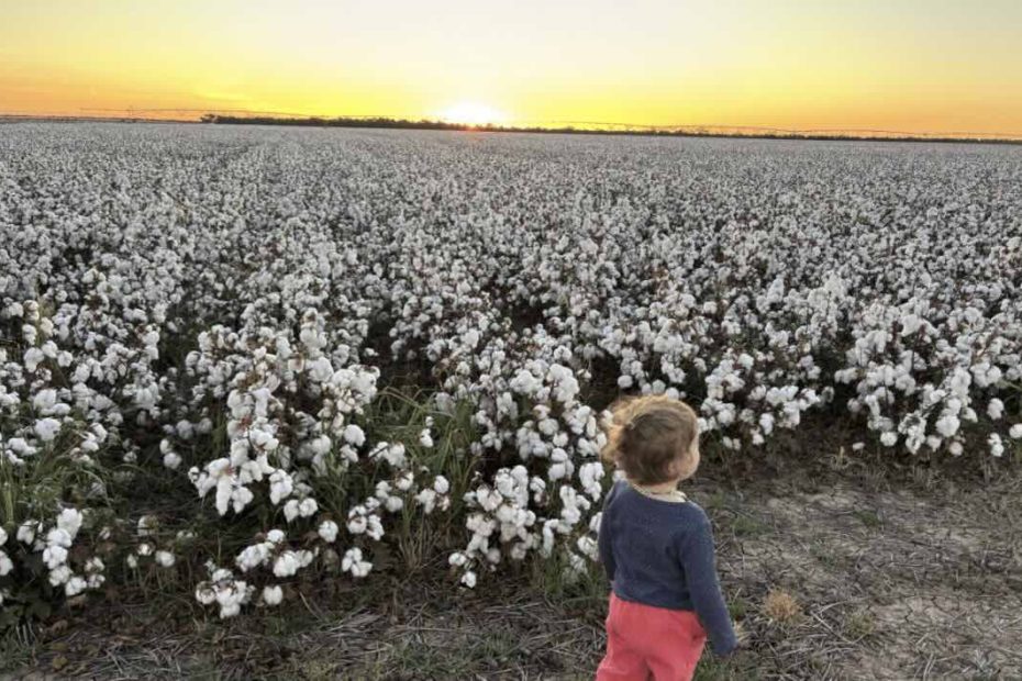 “Prices have doubled”: Farmers turn to wind and solar to make fertiliser, and change dialogue about renewables