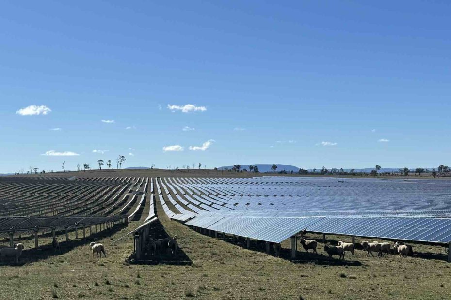 Grid battery next to Australia’s biggest solar farm nears completion, as PV curtailment eases