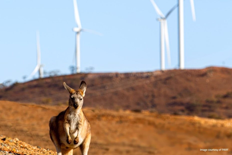 Renewables hit more than 80 pct of grid demand for first time – despite heavy throttling of wind and solar
