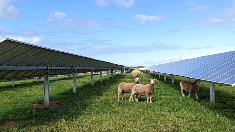 Renewable energy czar proposes national standard to quell farmer insurance fears