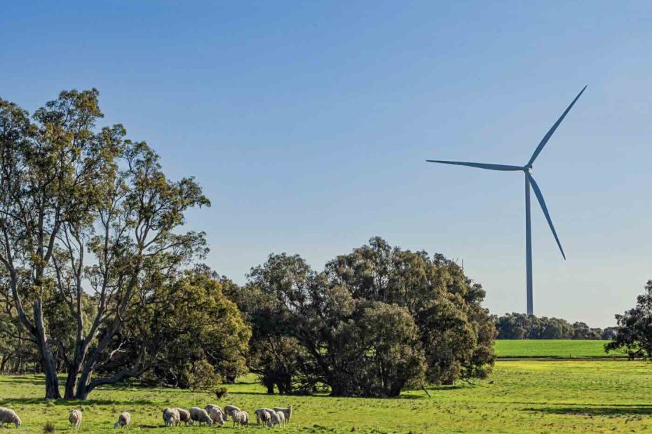 Simplified version of ESEM to be used to propel state beyond coal and to 75 per cent renewables