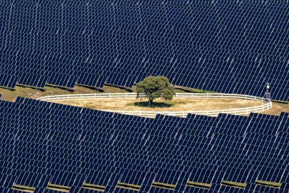 Oil giant’s renewables arm co-launches equal biggest solar farm in Aotearoa NZ